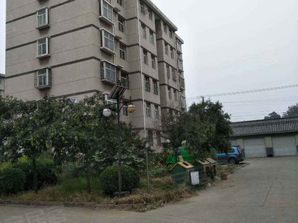 滁州姑塘新村居住价值与市场趋势，最新房价动态分析