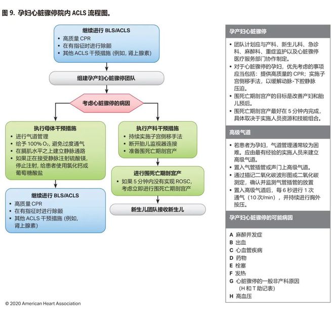 最新心肺复苏指南解读，2020年版更新与改进的关键点探讨