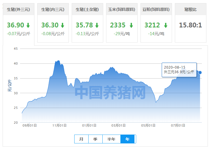 2020年新奥门免费資料大全，整体规划执行讲解_macOS23.9.49