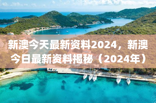 新澳2024正版资料免费大全，实地分析考察数据_AR版63.23.68