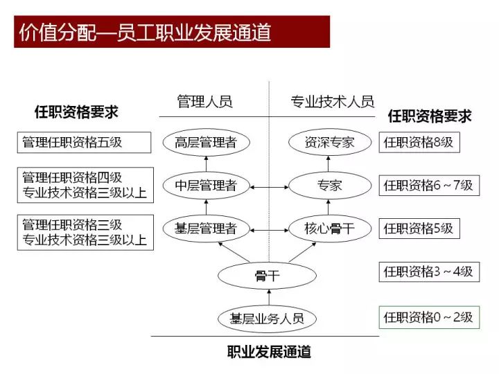 2024全年资料免费大全优势，多元方案执行策略_精简版35.82.80