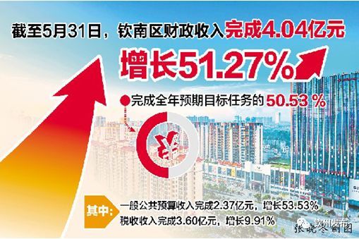 新奥免费料全年公开，系统解答解释定义_W5.31.51