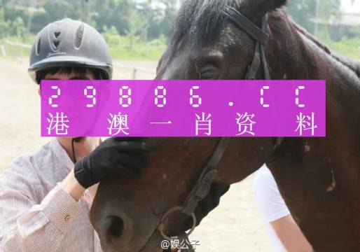 澳门一肖一码一必中一肖.，专家分析解释定义_定制版84.96.41