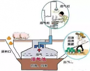 最新沼气池设计图