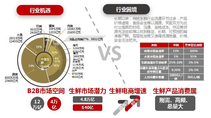 2024新奥免费资料网站,科技成语分析落实_专业版2.769