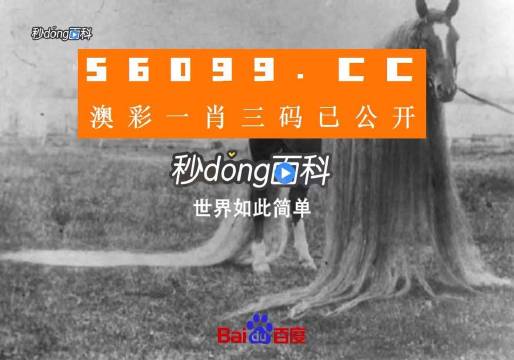 澳门一肖一码必中一肖,职能解答解释落实_Phablet25.635