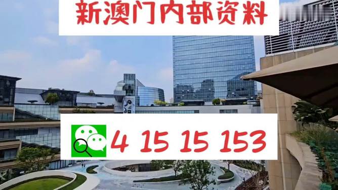 新澳门资料大全正版资料2024年免费下载,家野中特,极速解答解释落实_游戏版256.184