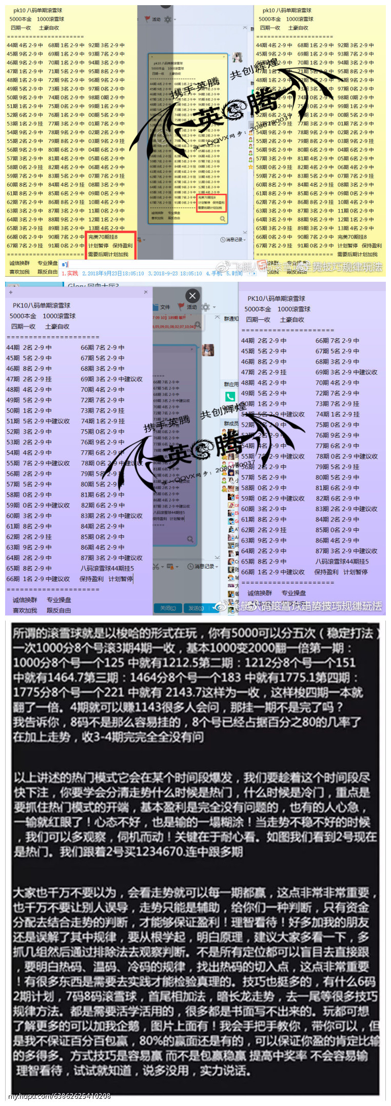 最准一肖一码一一子中,效率资料解释落实_5D58.23.13