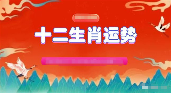 2024年10月27日 第49页