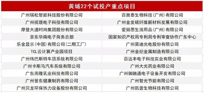 新澳澳门免费资料网址是什么,国产化作答解释落实_挑战版17.96