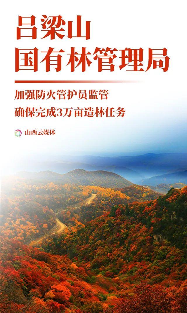 山西活立木最新动态与发展消息