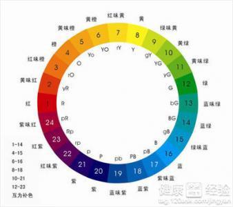 澳门天天彩期期精准单双波色,经典解释落实_N版61.10