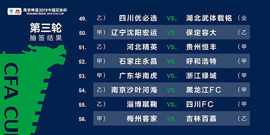 2024新澳精准资料免费提供下载,定制化执行方案分析_win204.310