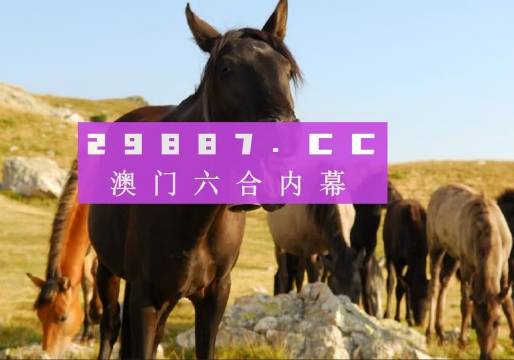 非标门 第19页