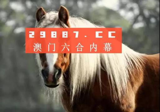 澳门今晚必中一肖一码准确9995,广泛的关注解释落实热议_豪华版7.815