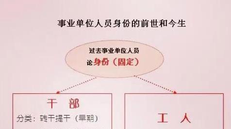 最新事业编制工人身份的角色定位与发展路径探索